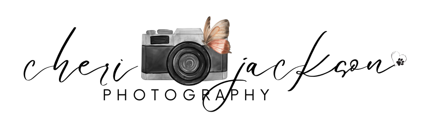 CJ Butterfly Logo Black